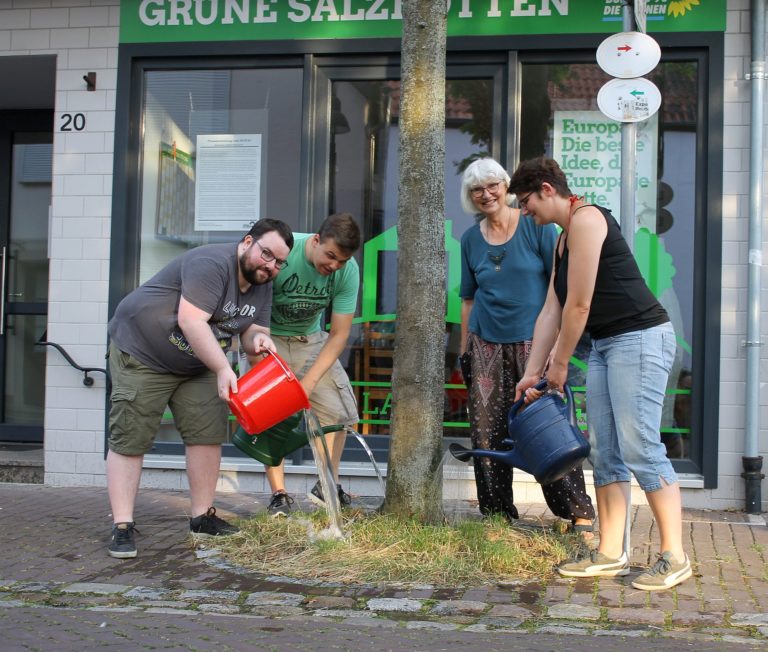 Pressemitteilung: Grüne rufen zum Gießen der Straßenbäume auf