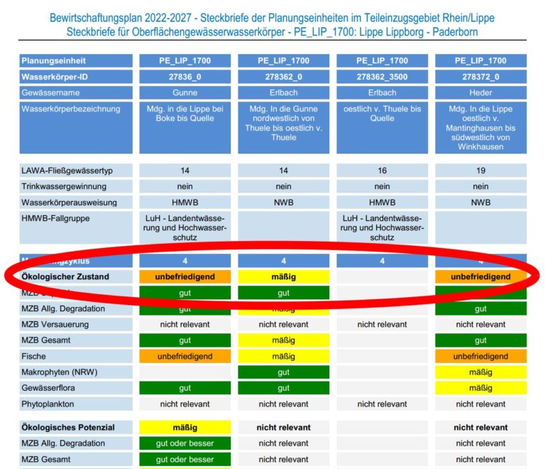 Ist die Heder in einem „guten ökologischen Zustand“?