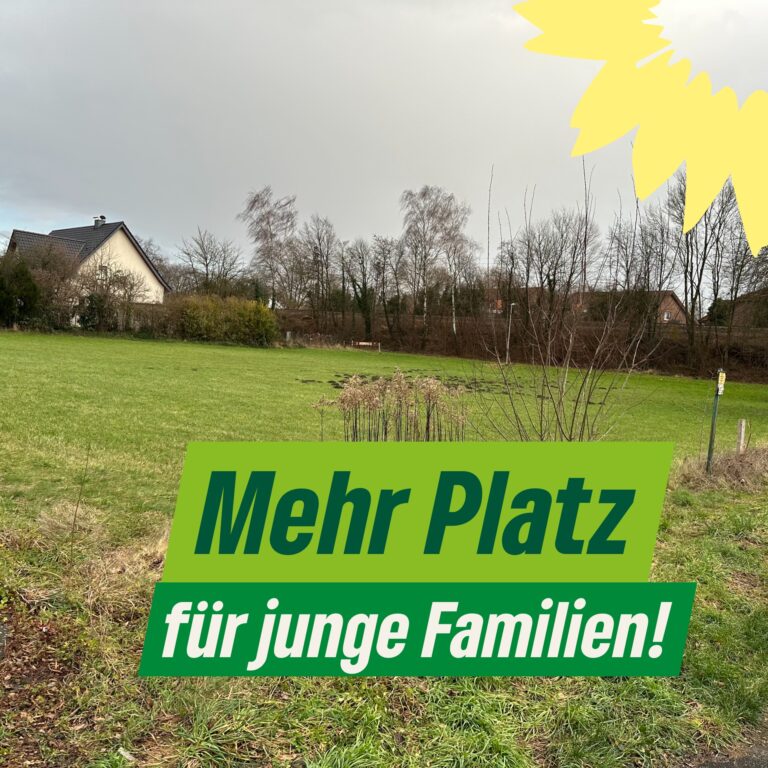 Grüne Salzkotten stellen Antrag zur Einführung der Grundsteuer C