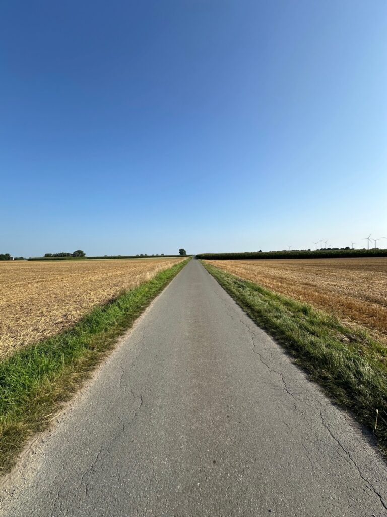 Grüne Fragen beim Thema städtischen Baupflanzungen nach