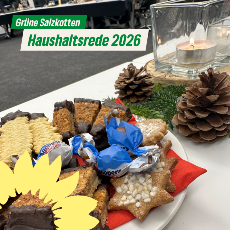 Haushaltsrede 2026
