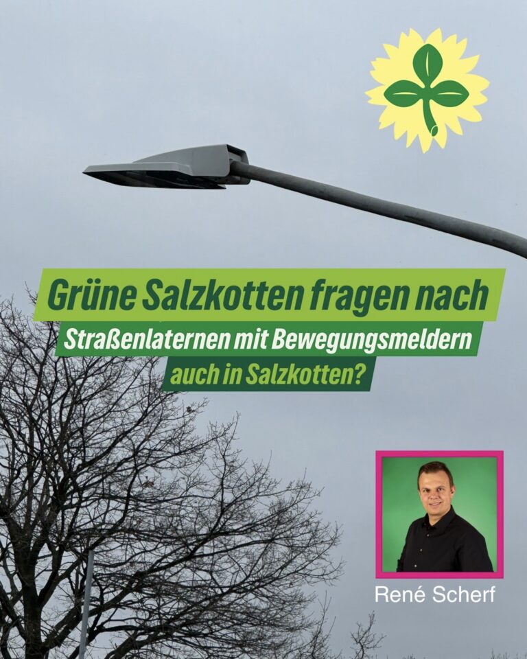 Pilotprojekt „Licht nach Bedarf“ im Baugebiet Osterfeld prüfen